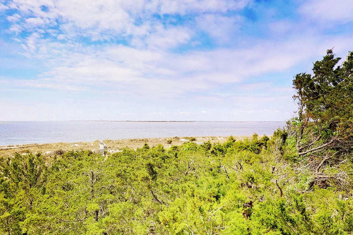 A sweeping view of tranquil water framed by dense, evergreen foliage. The landscape feels undisturbed and vibrant with life, inviting birdwatching and quiet reflection. The distant horizon and open sky add to the sense of peaceful seclusion and connection to nature.