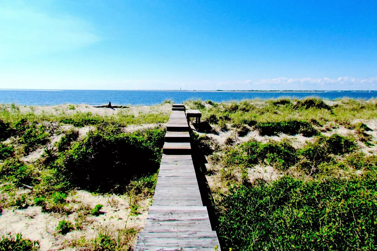 A sunlit wooden walkway winds through grassy dunes leading to a wide, serene ocean vista. The scene is alive with coastal vegetation and the possibility of spotting birds or wildlife. The soft golden light hints at early morning or evening, perfect for peaceful walks, shell collecting, and nature observation.